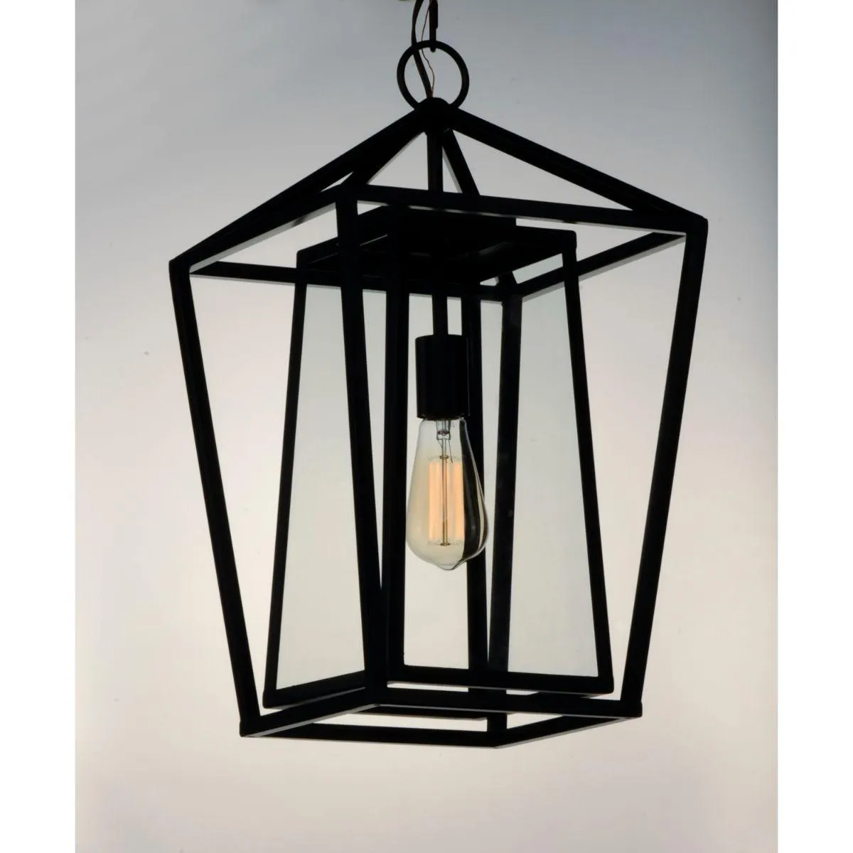 Artisan 20 in. Outdoor Hanging Lantern Black Finish