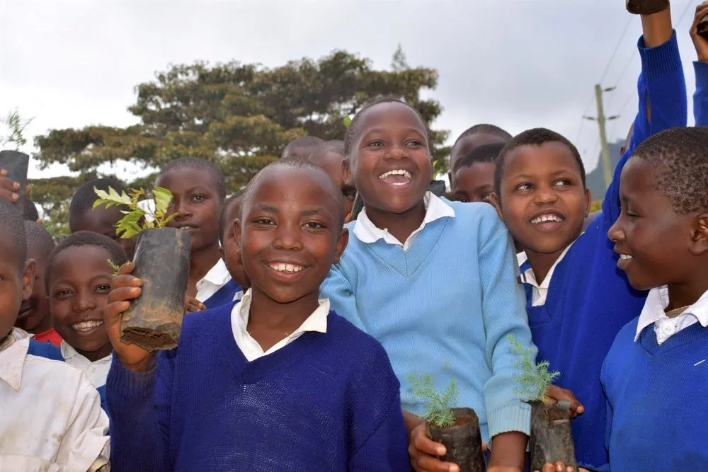 Happy Holidays Tree Gift Pack, We Plant 20 Trees