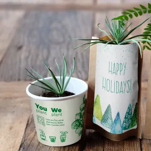Happy Holidays Tree Gift Pack, We Plant 20 Trees