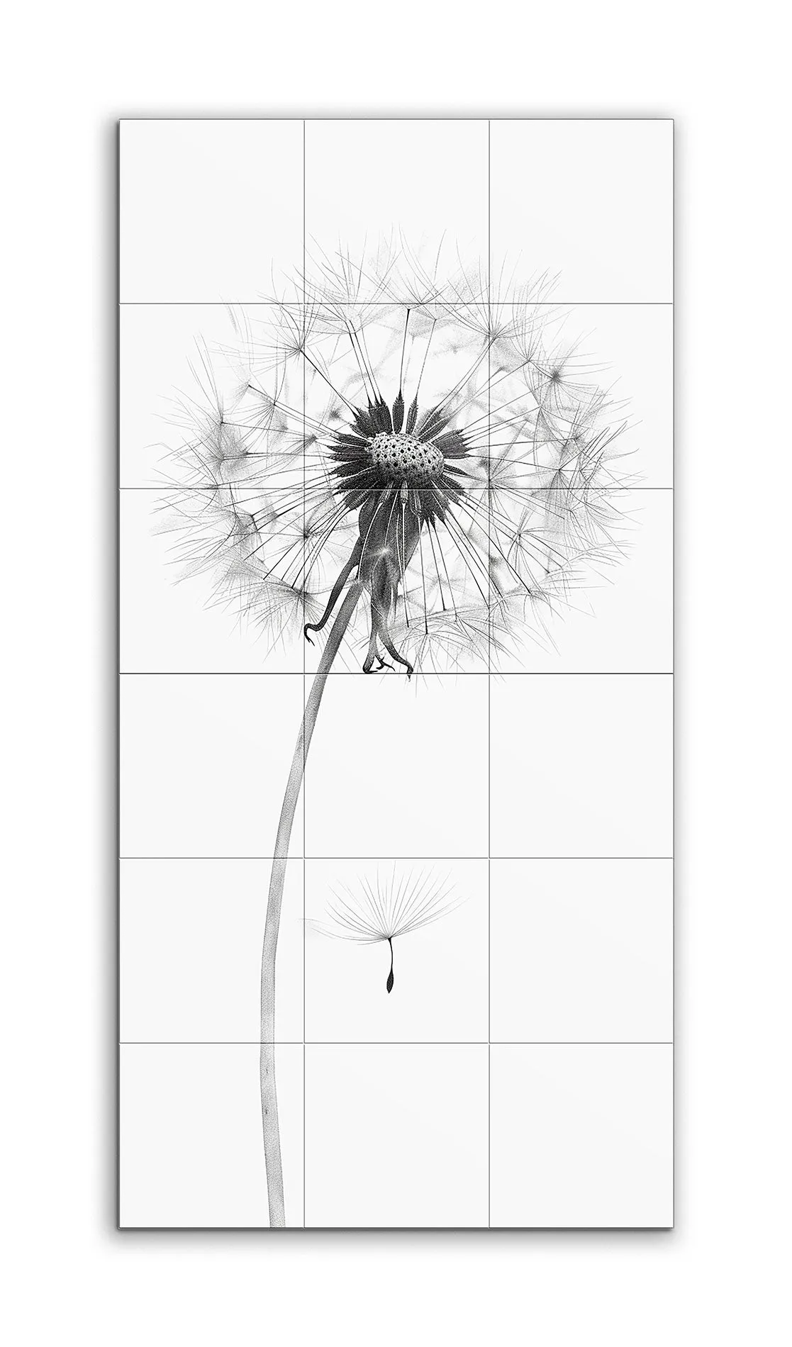 Timeless Elegance: Dandelion in Seed Phase
