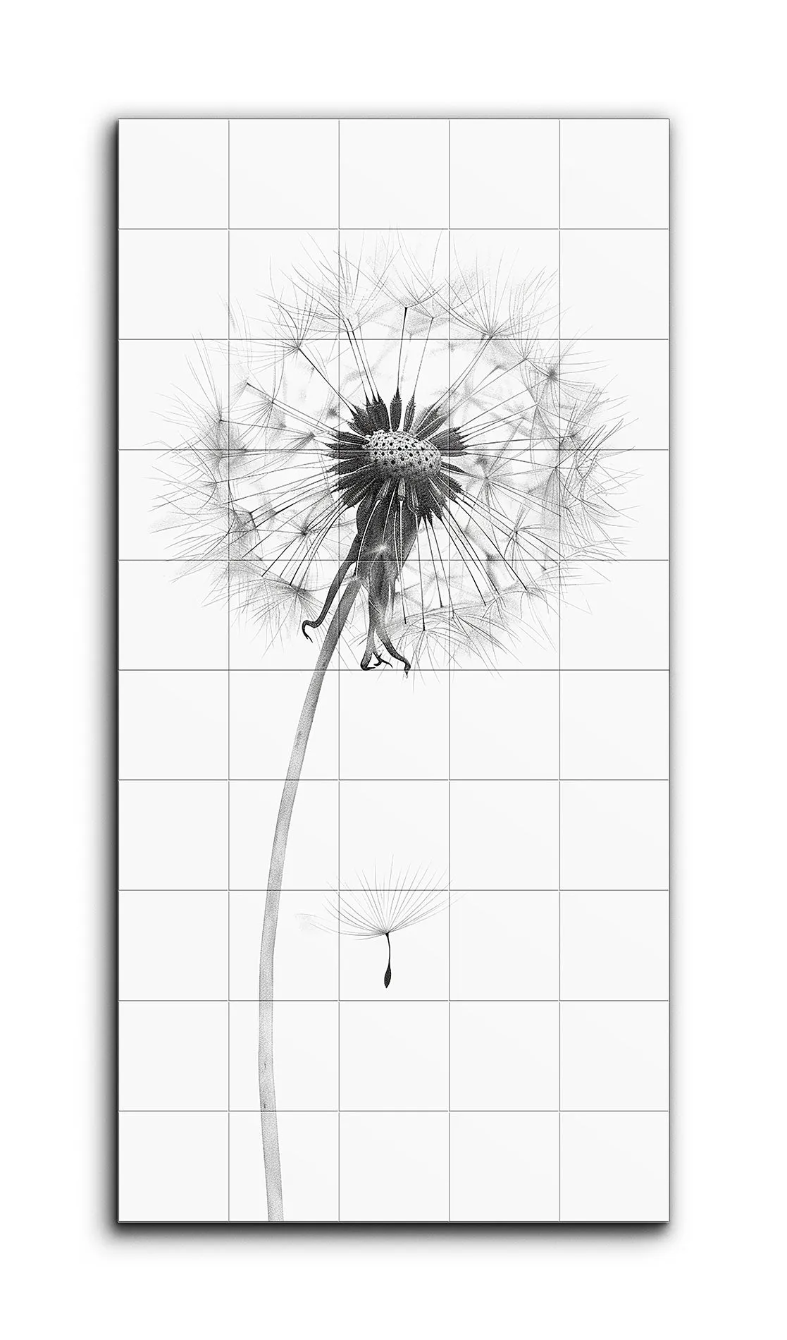 Timeless Elegance: Dandelion in Seed Phase